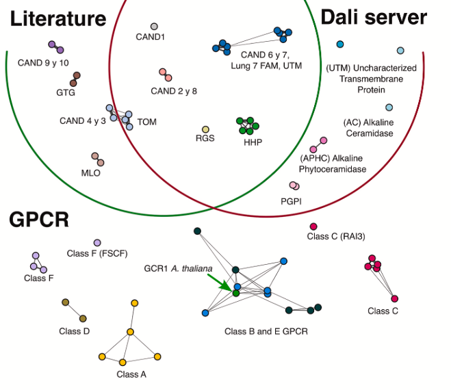 GCR1 is a canonical GPCR in plants