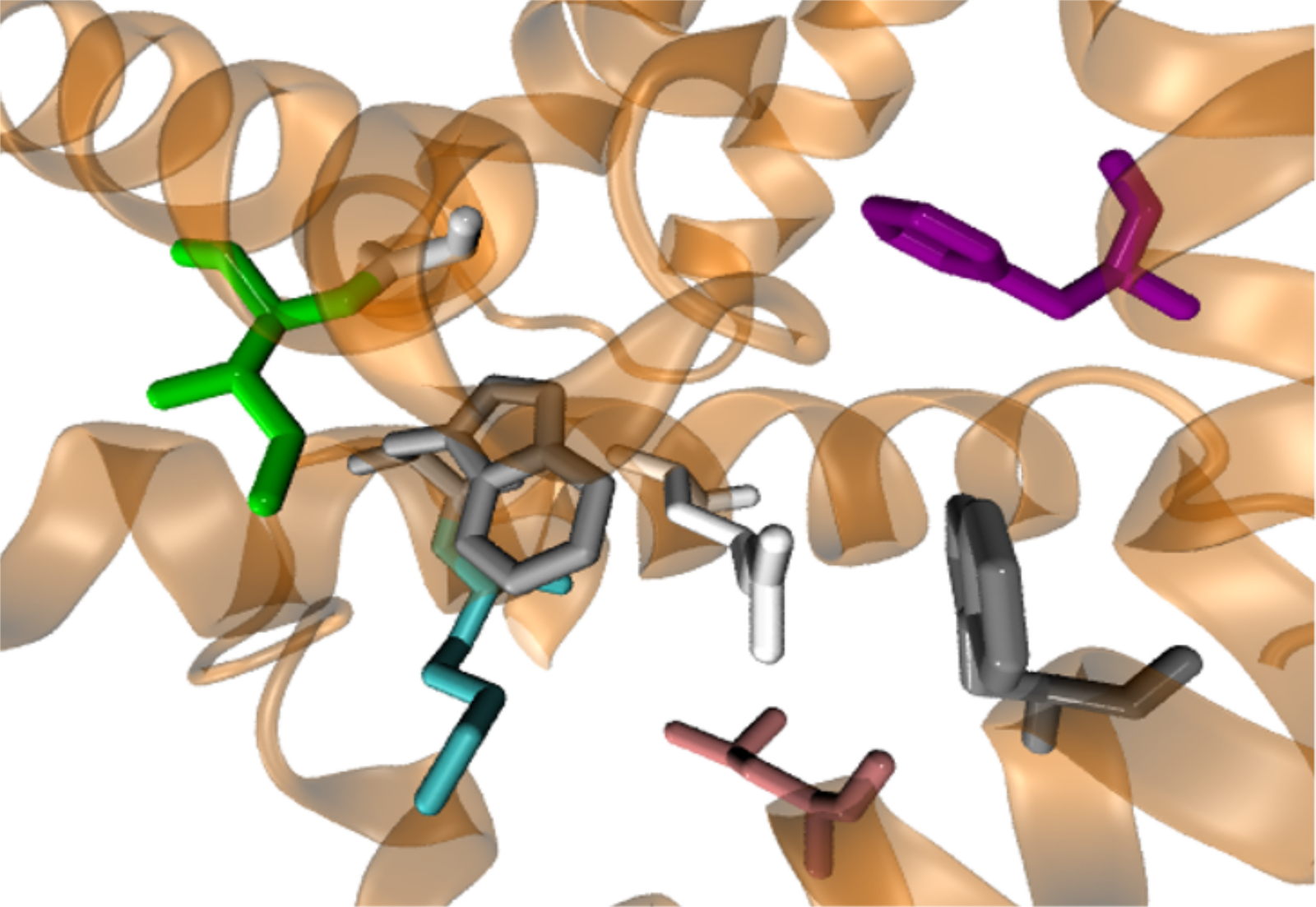 Molecular structure visualization